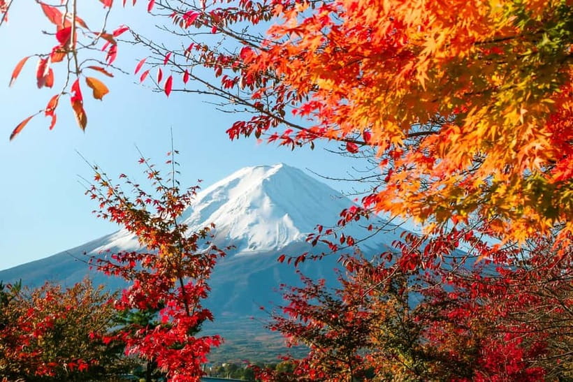 Halfway Up Mt,Fuji, Oshino Hakkai, Kawaguchiko from Tokyo - Starting in Ueno or Shinjuku, and How Timing Really Works