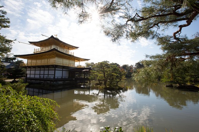 Hidden Kyoto E-Biking tour - The guide experience: English clarity and culture you can use