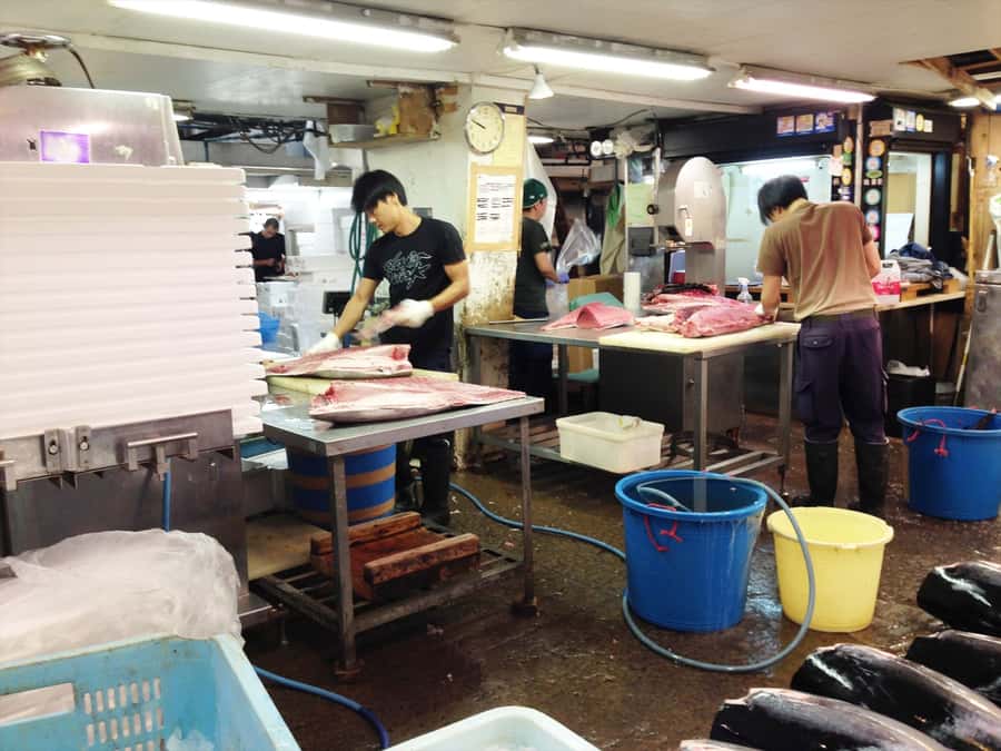Highlights of Tokyo Private Tour with a Licensed Guide - Key highlights to look for