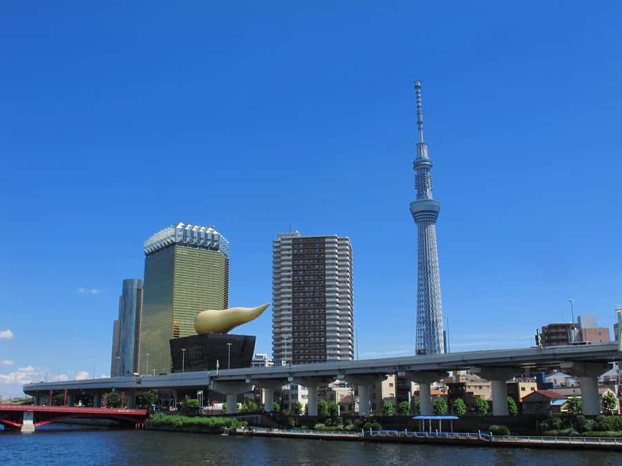 Highlights of Tokyo Private Tour with a Licensed Guide - Price and what you actually get for $466