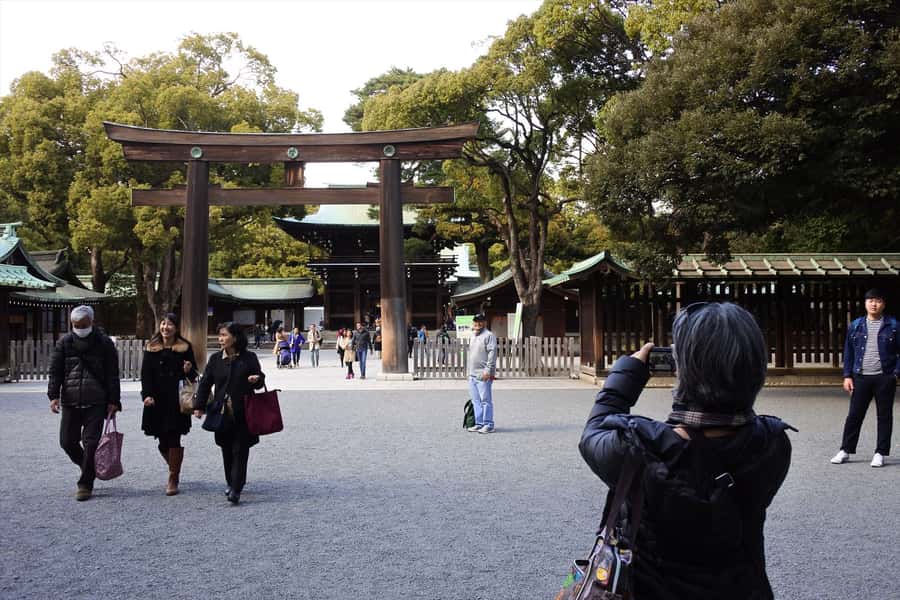 Highlights of Tokyo Private Tour with a Licensed Guide - Who should book this Tokyo private half-day tour?