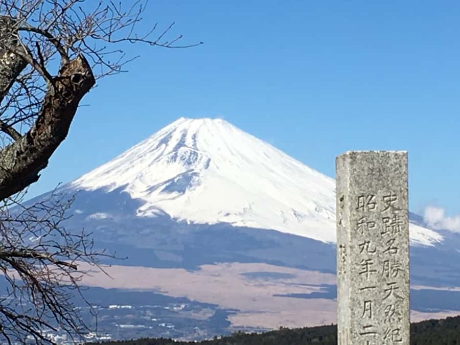 Hike Hakone Hachiri Japan Heritage Area - Meeting up, train timing, and the full day flow