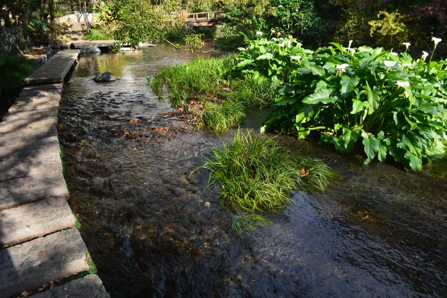 Hike Hakone Hachiri Japan Heritage Area - The teahouse start: amazake, old-road feel, and an easy warm up
