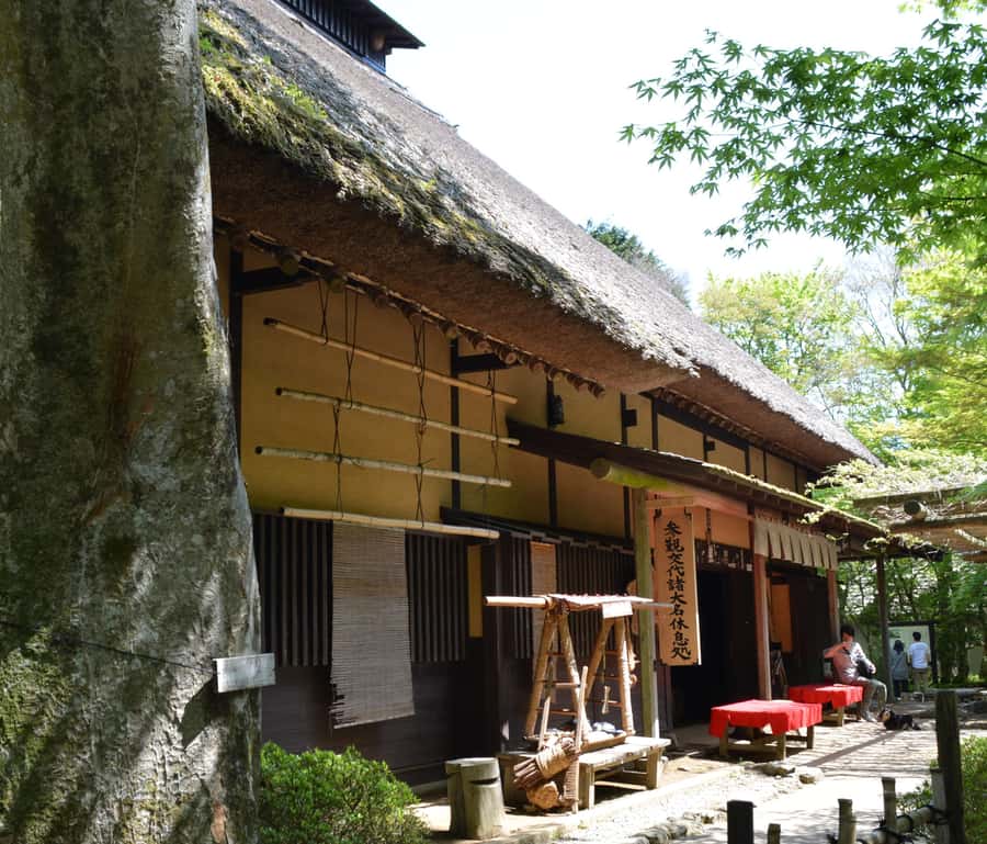 Hike Hakone Hachiri Japan Heritage Area - Mishima finish: Genbe River Water Area at a calmer pace