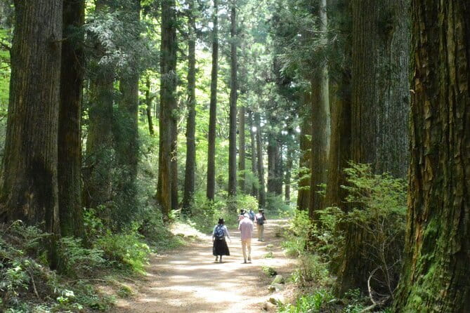 Hike Hakone Hachiri - Why This Route Feels Different: Amazake Chaya to Sekisho