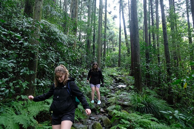 Hike Japan Heritage Hakone Hachiri (Half Day) - Walking the Old Tokaido Between Hakone-Yumoto and Lake Ashi