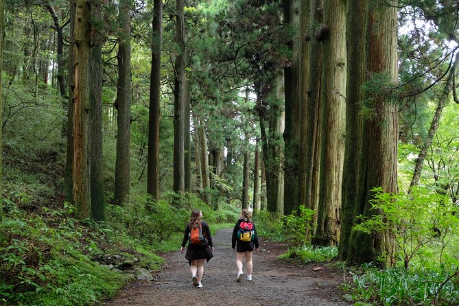 Hike Japan Heritage Hakone Hachiri (Half Day) - Tour at a Glance: 9:00 Start, Small Group, Half-Day Pace