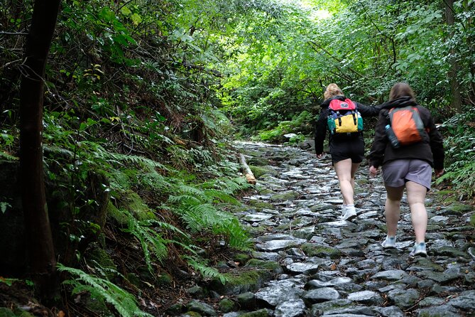 Hike Japan Heritage Hakone Hachiri (Half Day) - Amasake at a 400-Year-Old Tea House, Then Back to the Forest