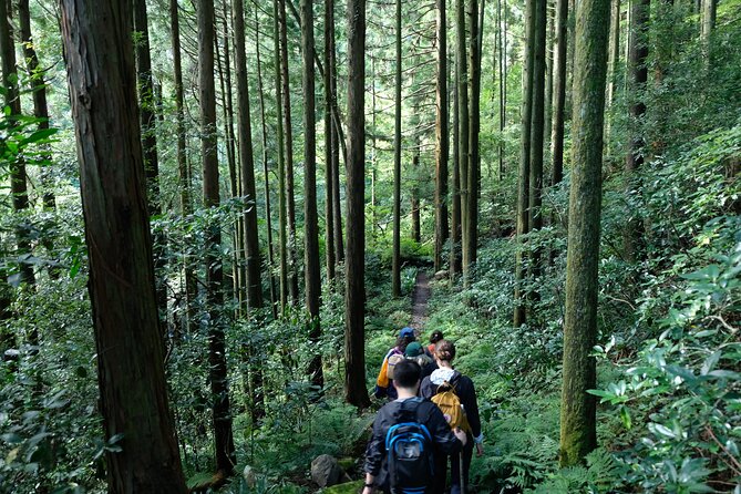Hike Japan Heritage Hakone Hachiri (Half Day) - Value for $114.95: What You Pay For (and What You Skip)