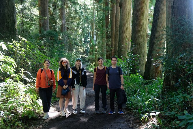 Hike Japan Heritage Hakone Hachiri (Half Day) - What to Wear and Bring for Cobblestones and Forest Trails