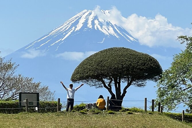 Hike Japan Heritage Hakone Hachiri with certified mountain guide - Key points to know before you go