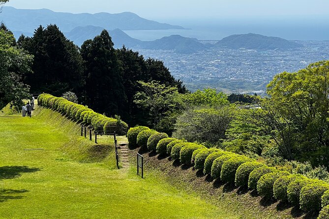 Hike Japan Heritage Hakone Hachiri with certified mountain guide - Lake Ashi and the Heiwa no Torii: Mt Fuji when the sky cooperates