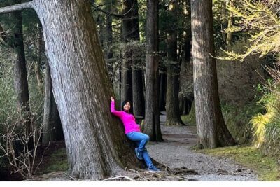 Hike Japan Heritage Hakone Hachiri with certified mountain guide