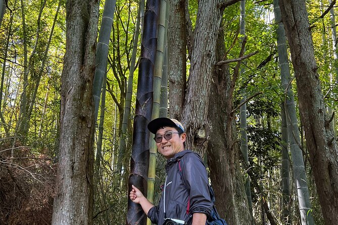 Hike Japan Heritage Hakone Hachiri with certified mountain guide - Yamanaka Castle Ruins: finishing the Hakone Hachiri story on the Shizuoka side