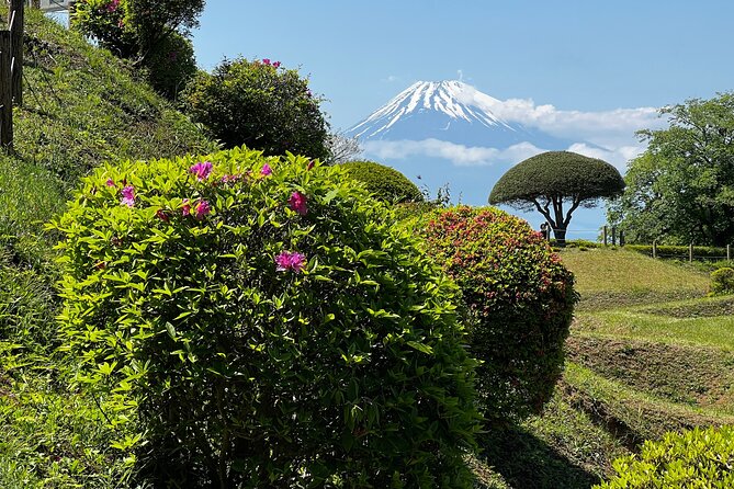Hike Japan Heritage Hakone Hachiri with certified mountain guide - Mishima Station finish: Mishima Taisha and Genbe River