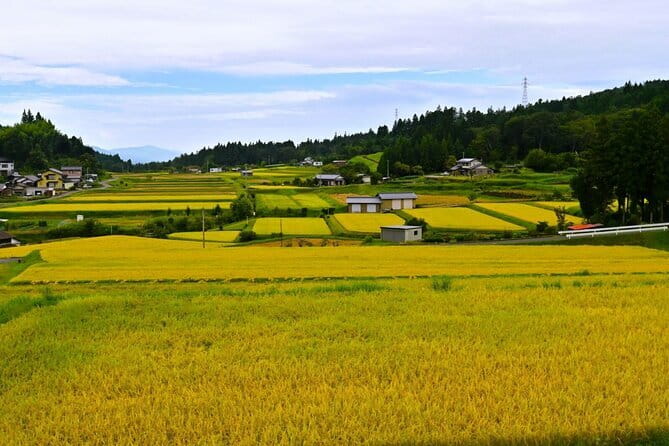Hiking the Historic Nakasendo Trail [1 Day Tour from Nagoya] - Why the Nakasendo still feels like a real route, not a set