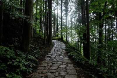 Hiking the Historic Nakasendo Trail [1 Day Tour from Nagoya]