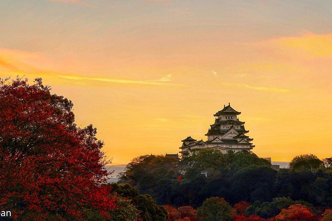 Himeji Half-Day Private Tour with Government-Licensed Guide - Himeji Castle: world-heritage details, stairs, and shoe-off moments