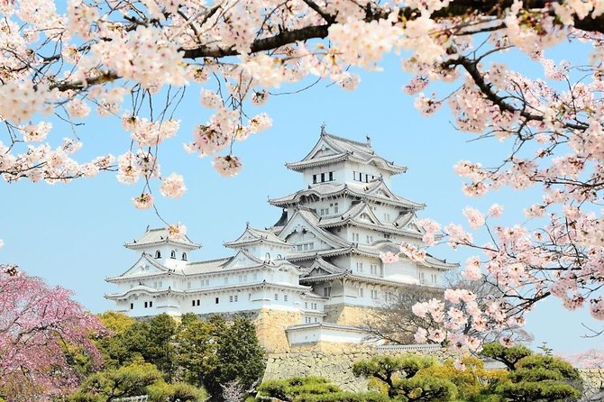 Himeji Half-Day Private Tour with Government-Licensed Guide - Hiromine Shrine, the museum, and Egret Himeji: options when you want variety
