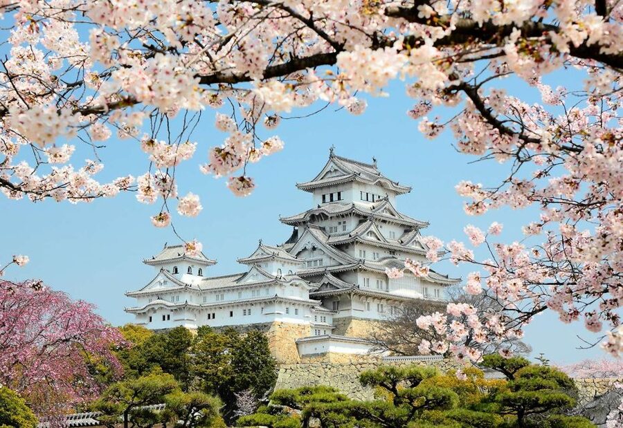 Himeji: Private Customized Tour with Licensed Guide - Mt. Shosha and Engyo-ji: The Mountain Side Trip That Makes It Worth It