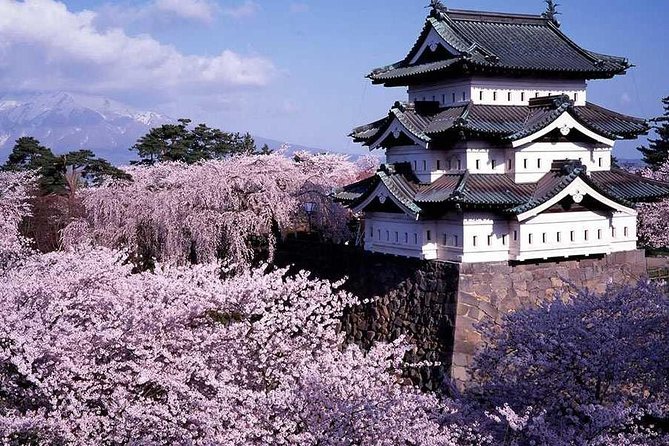Hirosaki 6hr Private Tour with Government-Licensed Guide - Key Highlights That Make This Tour Worth Booking