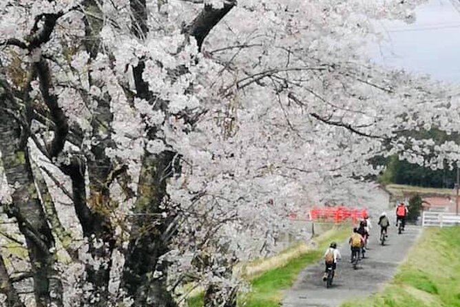 Hiroshima Country Cycling: Explore Rural Life 1 HR from City - Getting there and back: the highway bus makes it simple