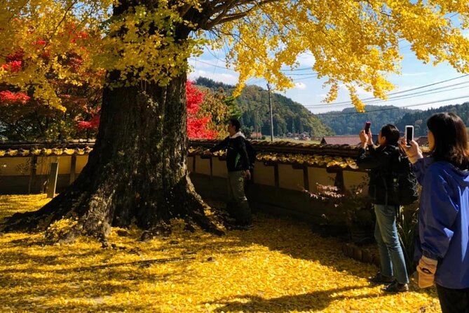 Hiroshima Country Cycling: Explore Rural Life 1 HR from City - Optional local visits: what to do if you want deeper access