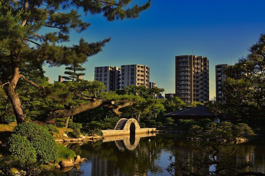 Hiroshima: Hidden Gems and Highlights Private Walking Tour - Who should book this tour, and who should skip it