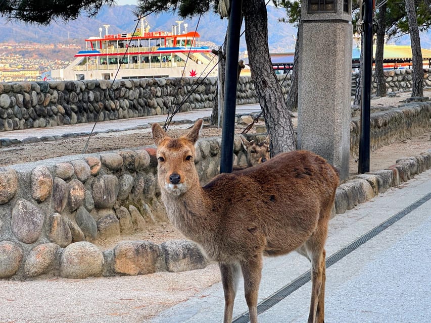 Hiroshima: Hiroshima and Miyajima UNESCO Sites 1-Day Tour - How the pacing works in an 8-hour day