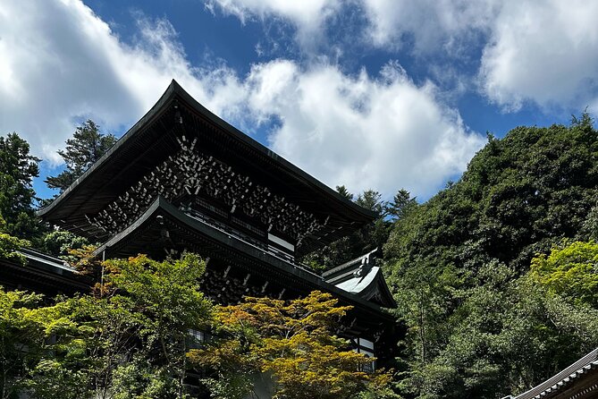 Hiroshima & Miyajima All-Inclusive Tour w/Licensed guide Pancho - Lunch near Peace Memorial Park, with vegan and gluten-free help