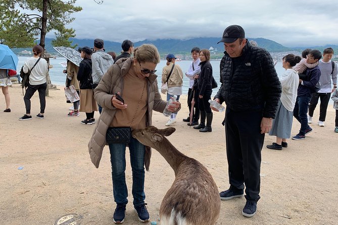 Hiroshima / Miyajima Full-day Private Tour with Government Licensed Guide - Should you book this Hiroshima and Miyajima private tour?
