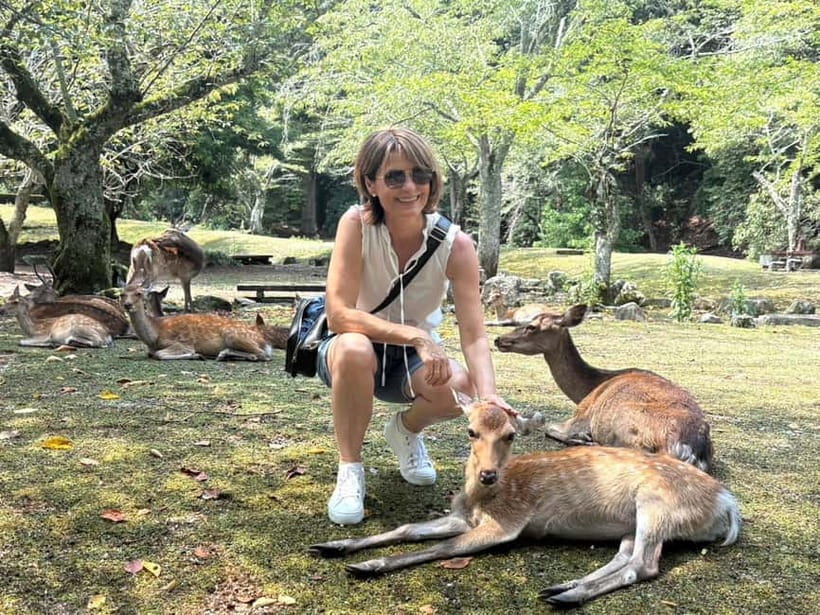Hiroshima: Miyajima Island Half-Day Tour with Guide - 4 hours on Miyajima: the real value of a guided loop