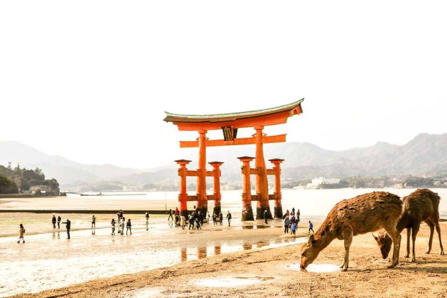 Hiroshima: Miyajima Peace Memorial Icons of Peace and Beauty - Tenshinkaku and Senjokaku Pavilion for atmosphere beyond the main postcard
