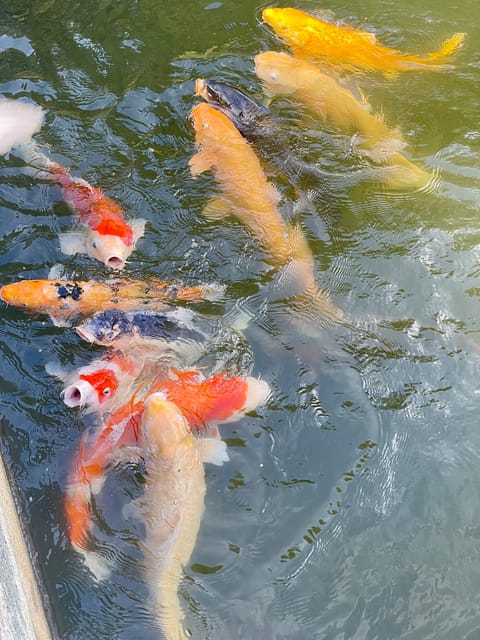 Hiroshima & Miyajima: UNESCO A-Bomb Dome & Itsukushima - Shukkei-en Garden and Hiroshima Castle: soft beauty before the hard part