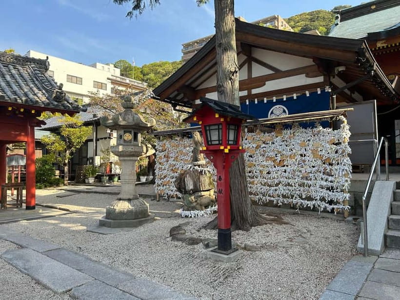 Hiroshima: Morning Hiking Tour with Open-air Tea Ceremony - Forest bathing on the mountain: how to do it without overthinking