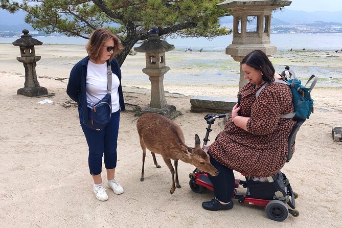 Hiroshima Private Tour: Best Highlights in a Day - Miyajima Omotesando Shopping Street, Where You Can Snack and Browse at a Human Pace