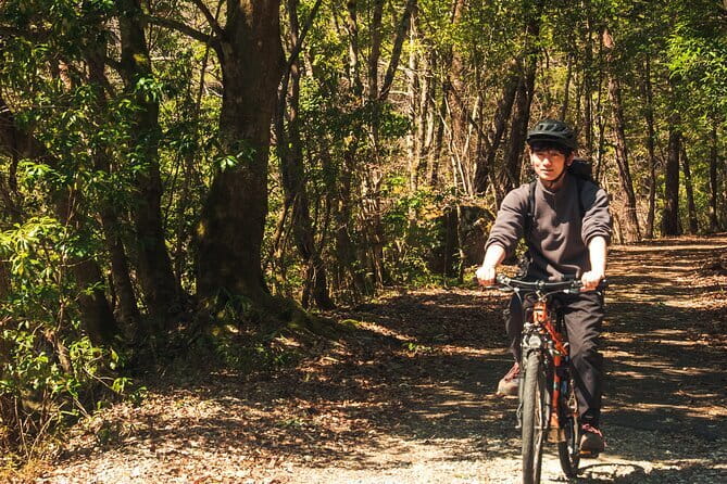Hiroshima: Private Walking Tour with a Local - What the 3 to 6 hour walk actually feels like