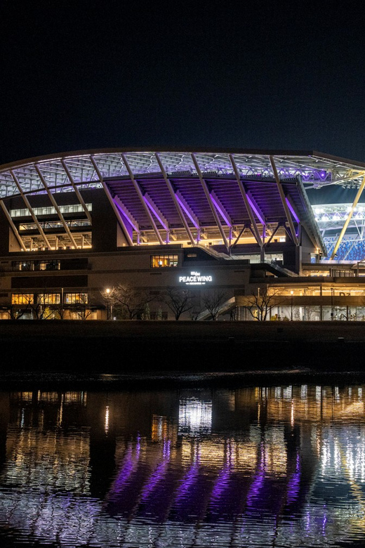 Hiroshima: Sanfrecce Hiroshima Football Game - Key things I’d pay attention to