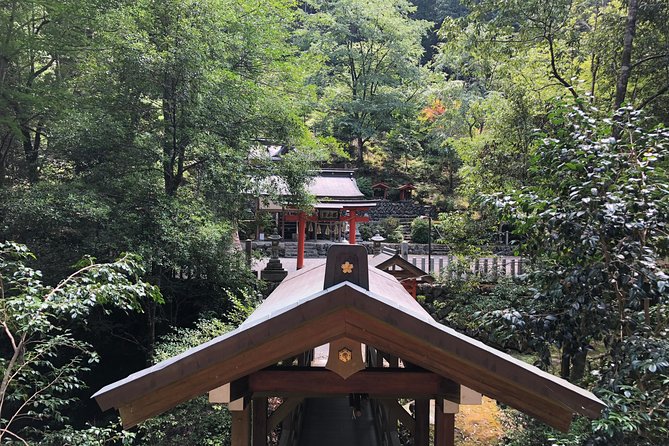Historic and Natural Guided Hike in Yoshino - Mt Yoshino: the 8 km cherry path that keeps unfolding