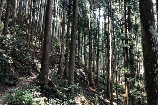 Historic and Natural Guided Hike in Yoshino - How the guide changes the whole day