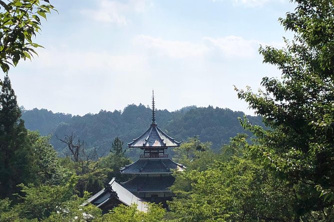 Historic and Natural Guided Hike in Yoshino - What you actually do at each stop