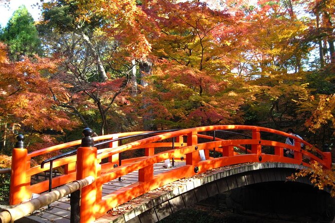 Historical Kyoto E-Bike Tour - What the Bike Riding Feels Like on Kyoto Streets