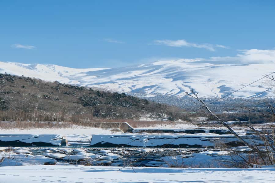 Hokkaido Lavender farm & Furano Flower Tour from Sapporo - Should you book the Hokkaido Lavender farm and Furano Flower Tour?