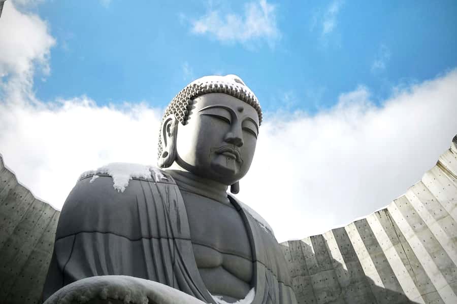 Hokkaido Sapporo :Hill of Buddha, Beer Museum & Fish Market - Key takeaways