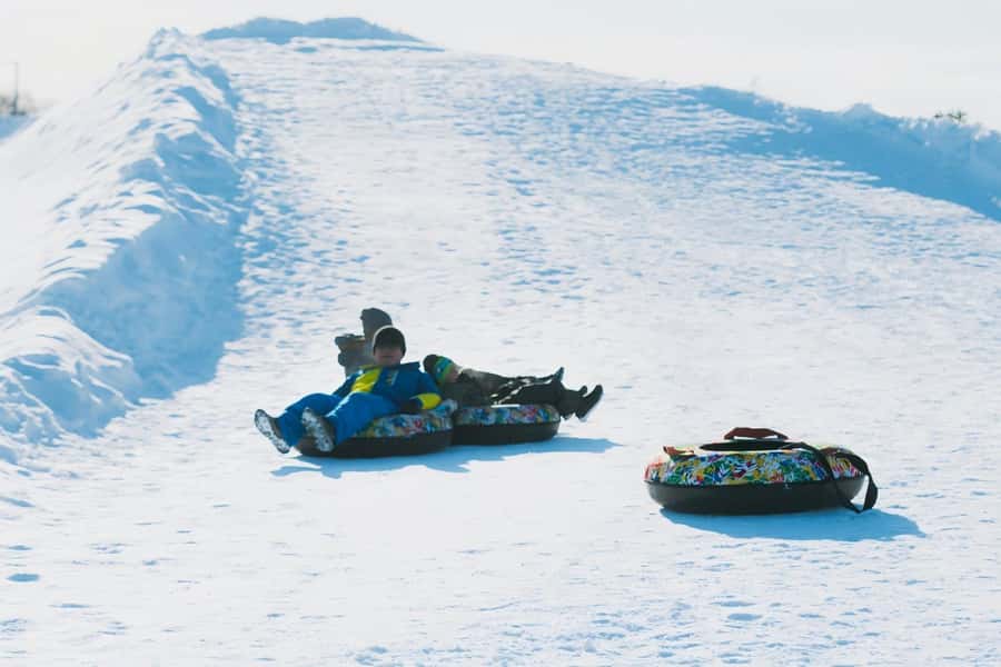 Hokkaido, Sappro, Otaru & Cape Kamui One-day Tour - Seasonal itinerary changes, and what each season adds