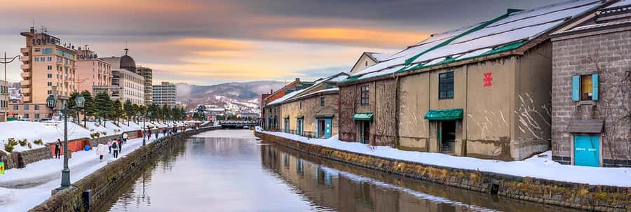 Hokkaido, Sappro, Otaru & Cape Kamui One-day Tour - Price and value: what you get for about $66