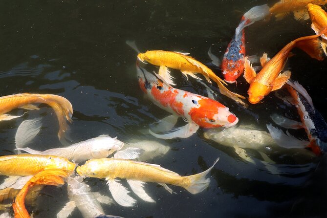 Imperial Palace East Garden and Edo Castle Walking Tour in Tokyo - Timing, pacing, and what to expect on your feet