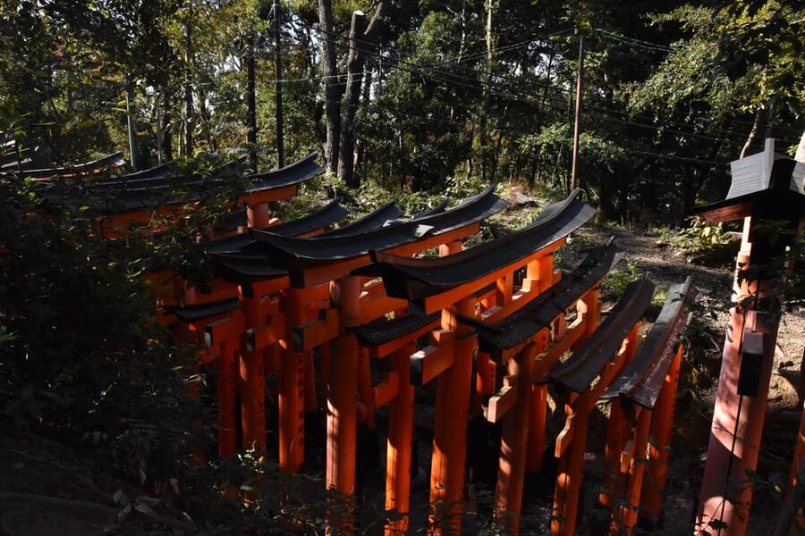 Inside of Fushimi Inari - exploring and lunch with locals - Photo time without the crowd crush