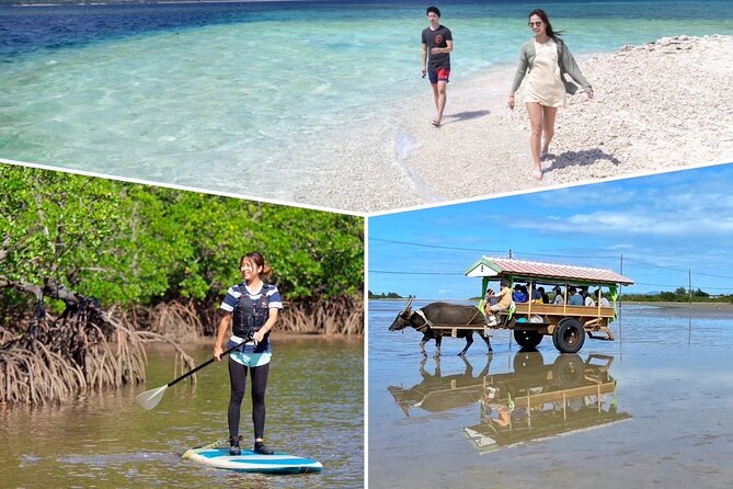 Iriomote 1 Day Mangrove SUP/Canoe, Barasu Island & Yubu Island - Guides, photo data, and why names keep popping up