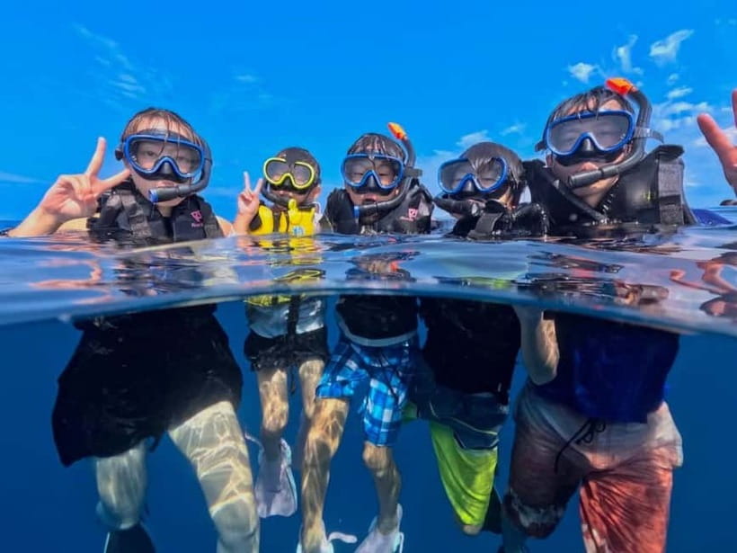 Iriomote: Boat Snorkeling Tour at Barasu Island - Iriomote to Barasu Island in 2 hours, with training built in